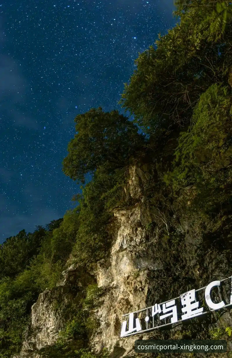 星空入口最新版深度评测：从下载到上手，这份保姆级指南请收好