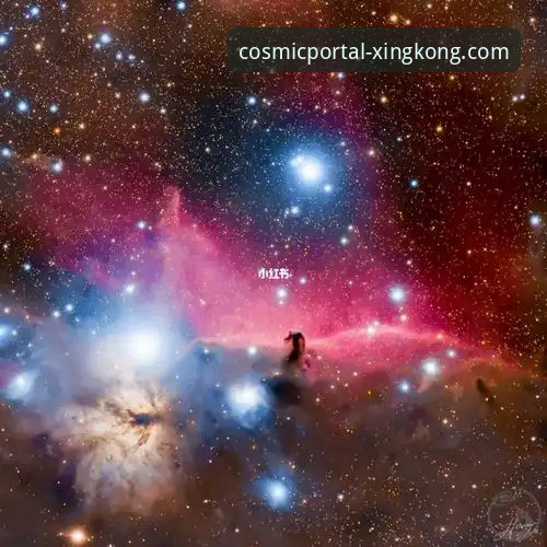 资深用户实测分享：星空入口最新版使用指南与实战经验